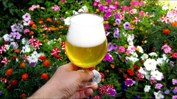 Пиво на берегу моря