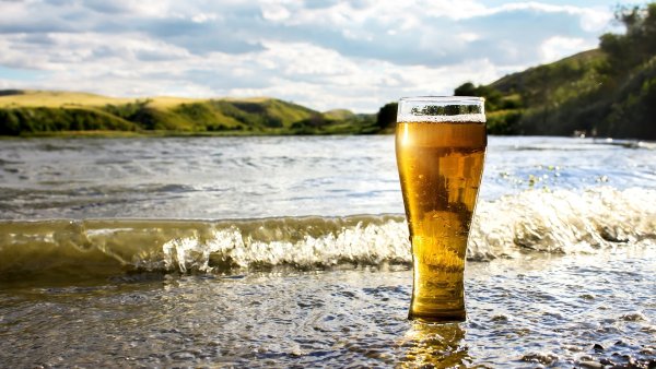 Цветы в бокале пива