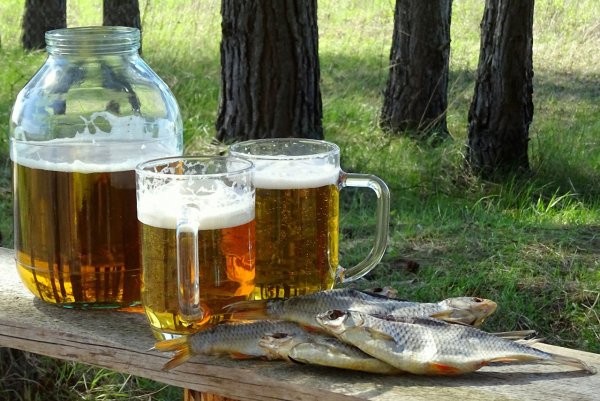 Закуски под пиво