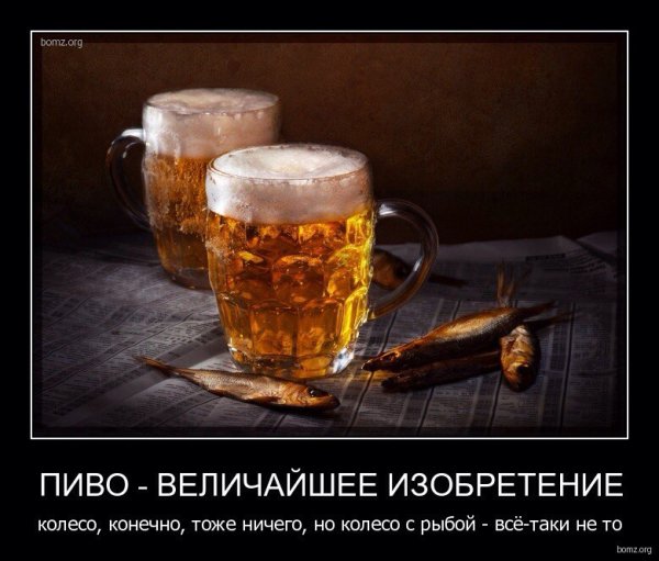 Доброе утро пиво