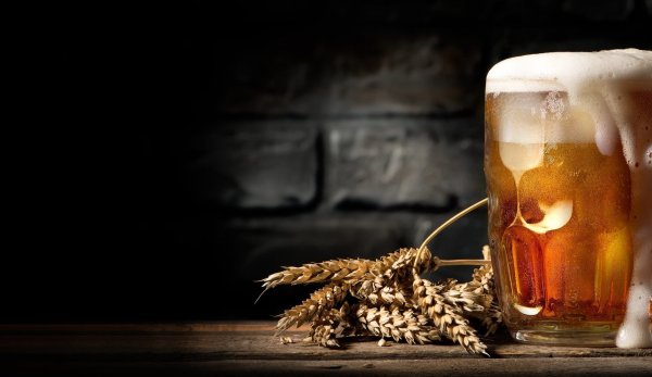 Приколы мемы про пиво