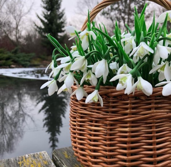 С днём рождения Ландыши