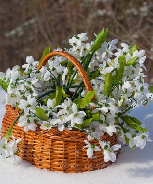 Весеннего настроения и душевного тепла