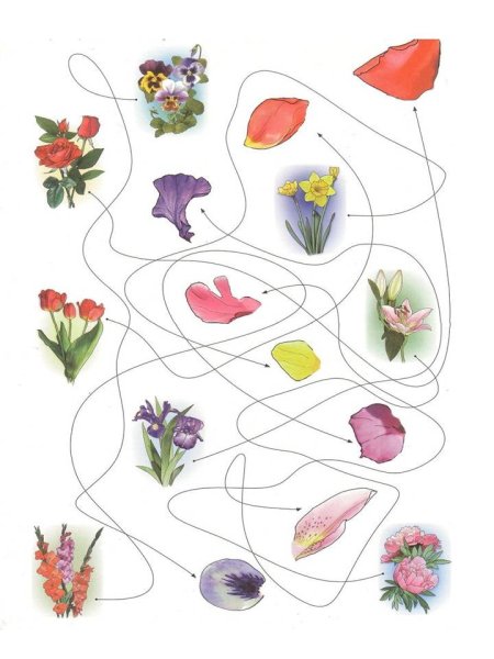 Весенние признаки для дошкольников