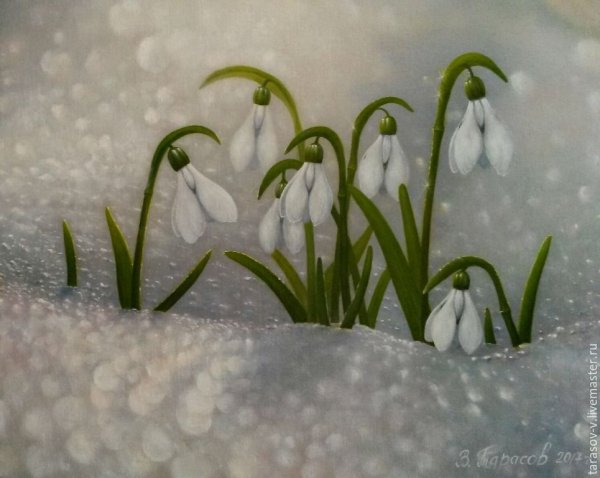 Подснежник для детей