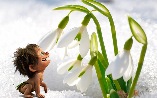 Сказочные подснежники