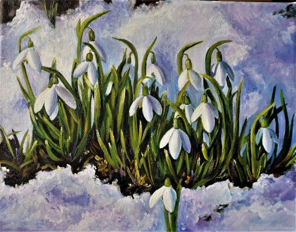 Терра Фьорри подснежники