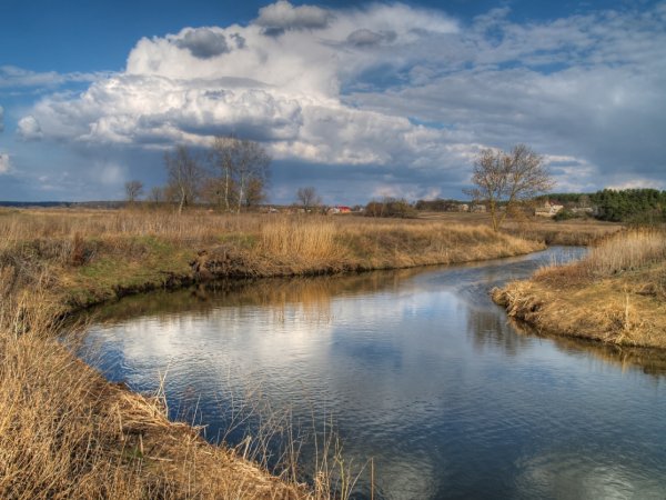 Речка весной