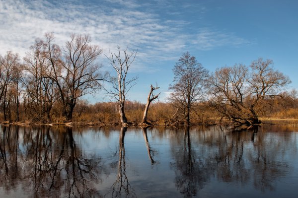Весенняя река