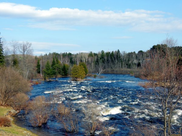 Речка весной