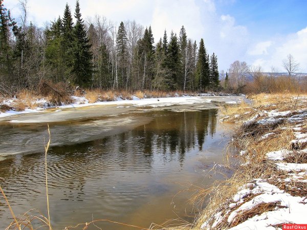 Речка ранней весной