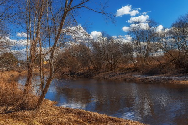 Весенний лес у реки