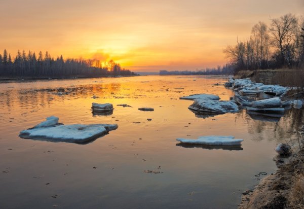 Ранняя Весна за городом