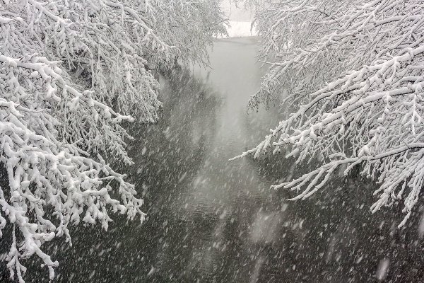 Метель в марте