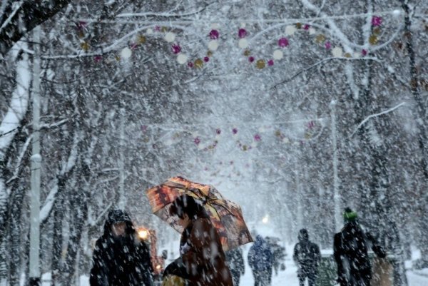 Метель весной