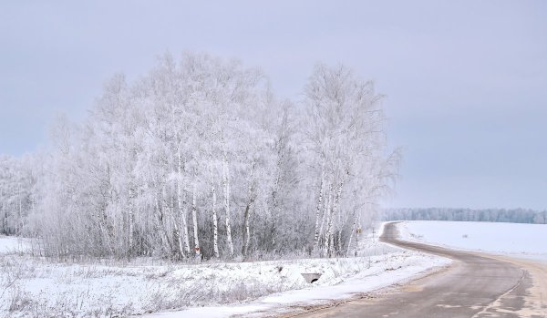 Весенняя метель