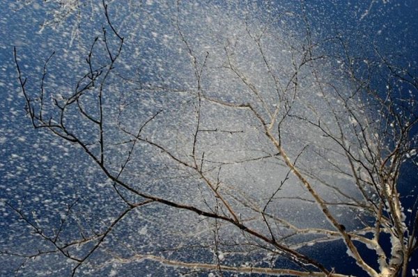 Метель весной