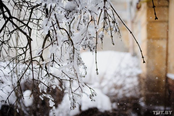 Прекрасные мгновения зимы