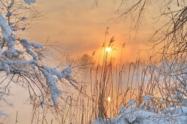 Мартовский снегопад