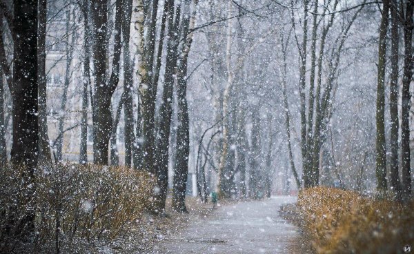 Снег метель март