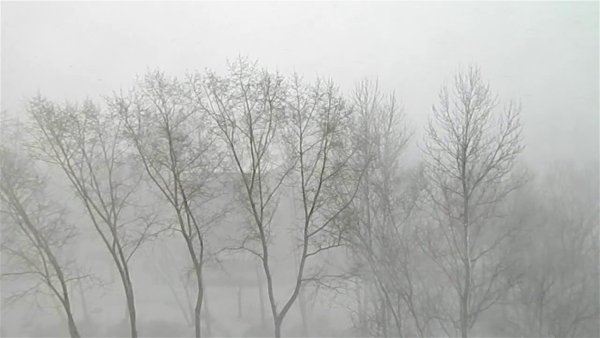 Весна метель