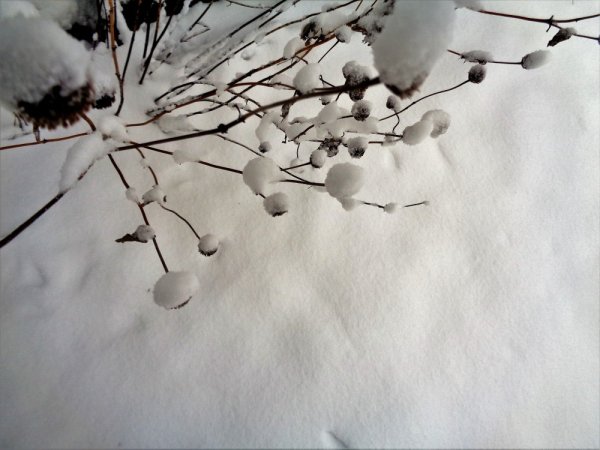 Снегопад картины художников