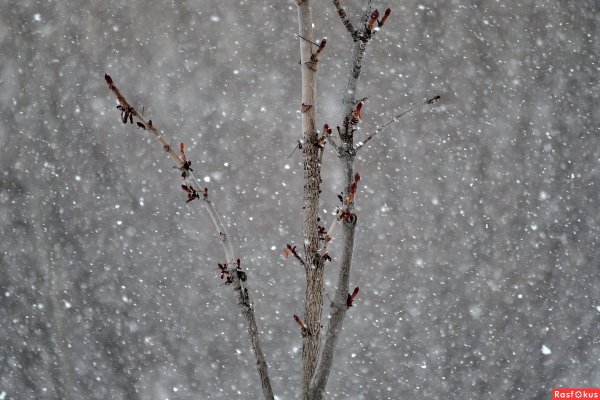 Метель Морозы вьюги в декабре
