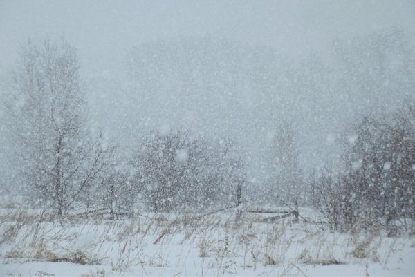 Тропинки замело снегом