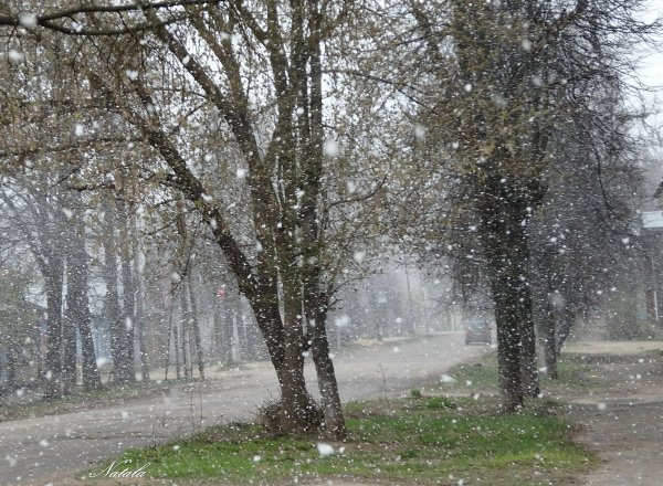 Первый снег в небе