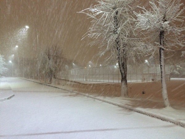 Весенняя метель