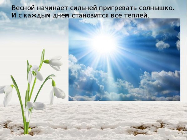 Пригрело Весеннее солнышко