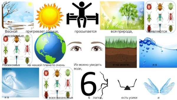 Символы лета опорные картинки