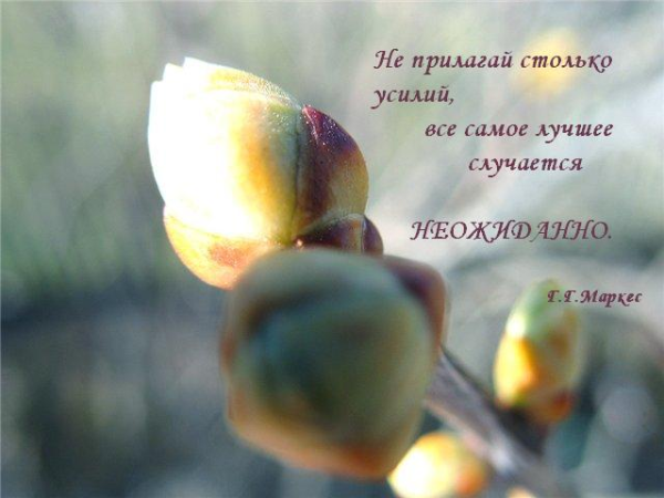 Высказывания о жизни и весне