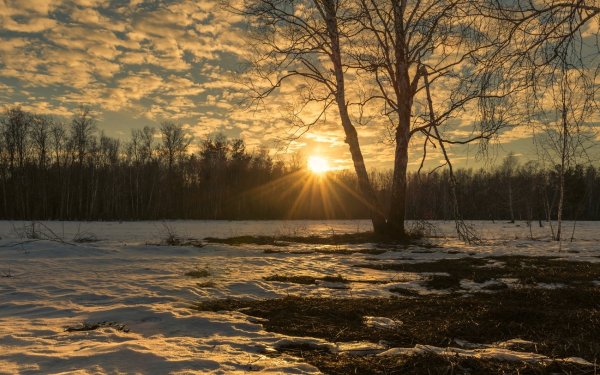 Весеннее солнце в марте