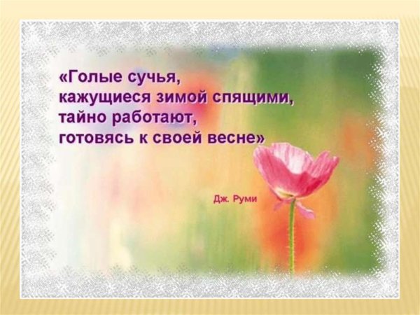 Весна цветы афоризмы