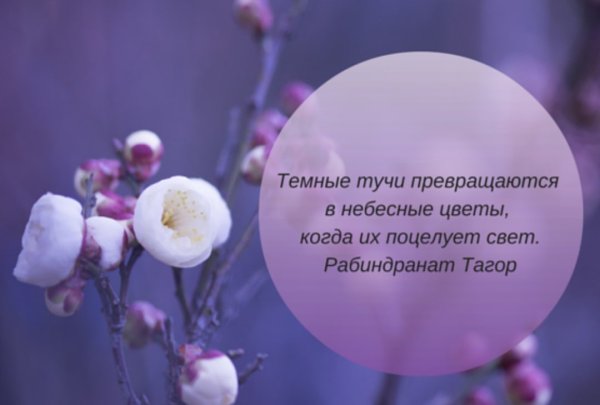 Фразы про цветы