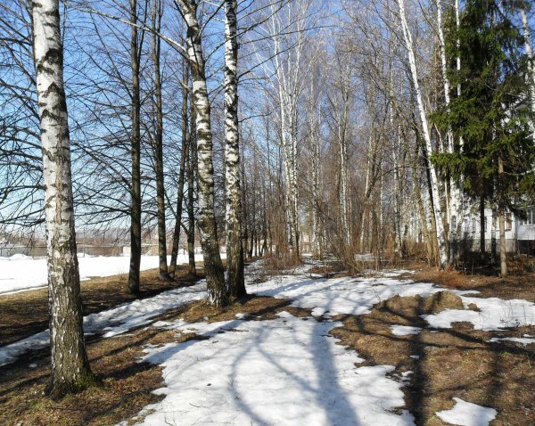 Анимационный фон с солнышком