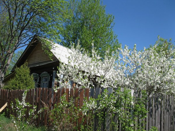 Деревня весной