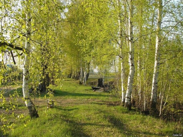 Живопись ранняя Весна в деревне