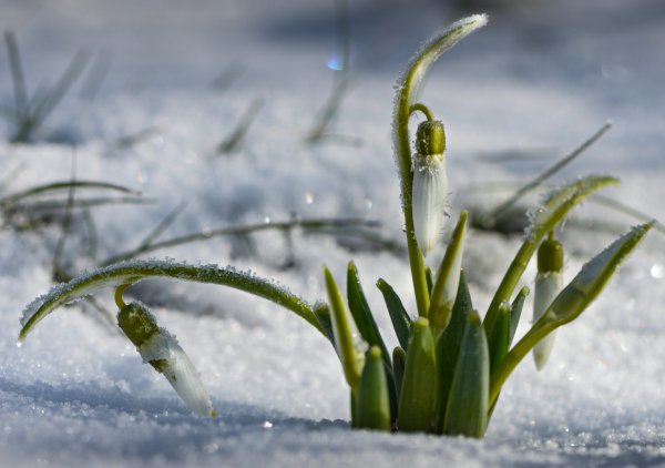Весна в России