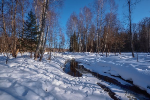 Весна капель