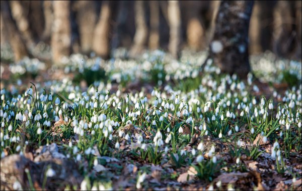 Весна снег солнце