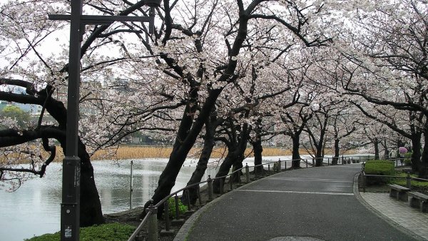 Парк ранней весной