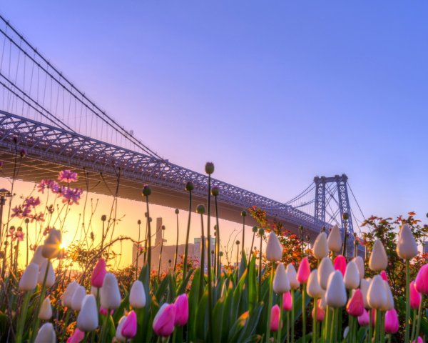 Весна в городе