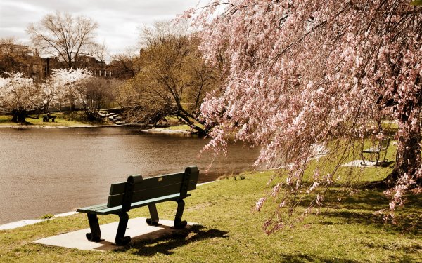 Весенний парк