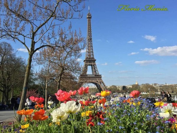 Франция весной