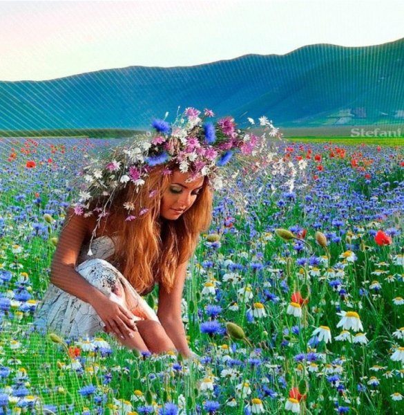 Цитаты о весне и женщине