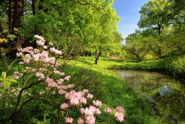 Картинки на рабочий стол природа весна пейзажи (70 фото) » Картинки и  статусы про окружающий мир вокруг