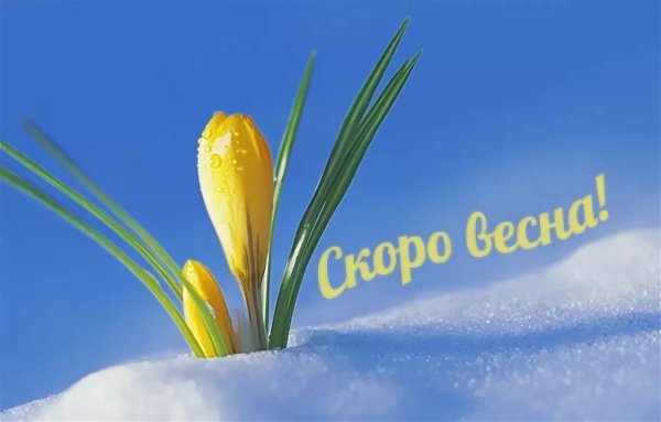 Доброе утро с первым днем весны
