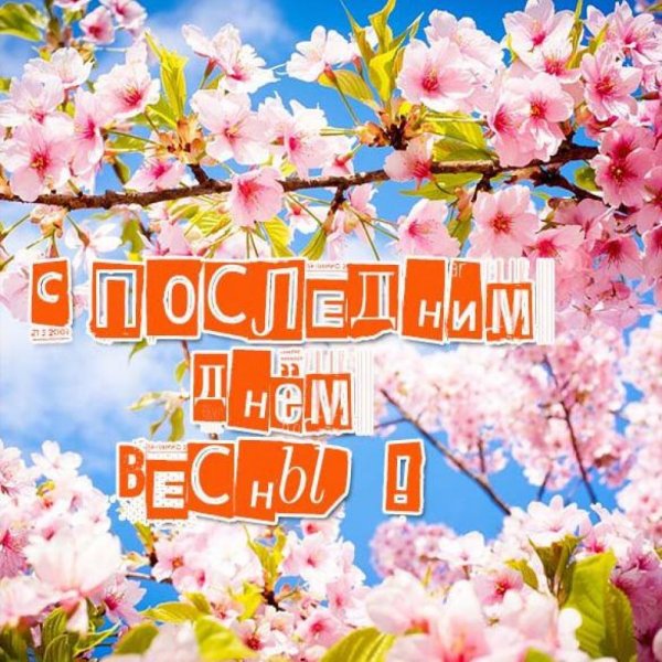 С первым днём весны открытки красивые